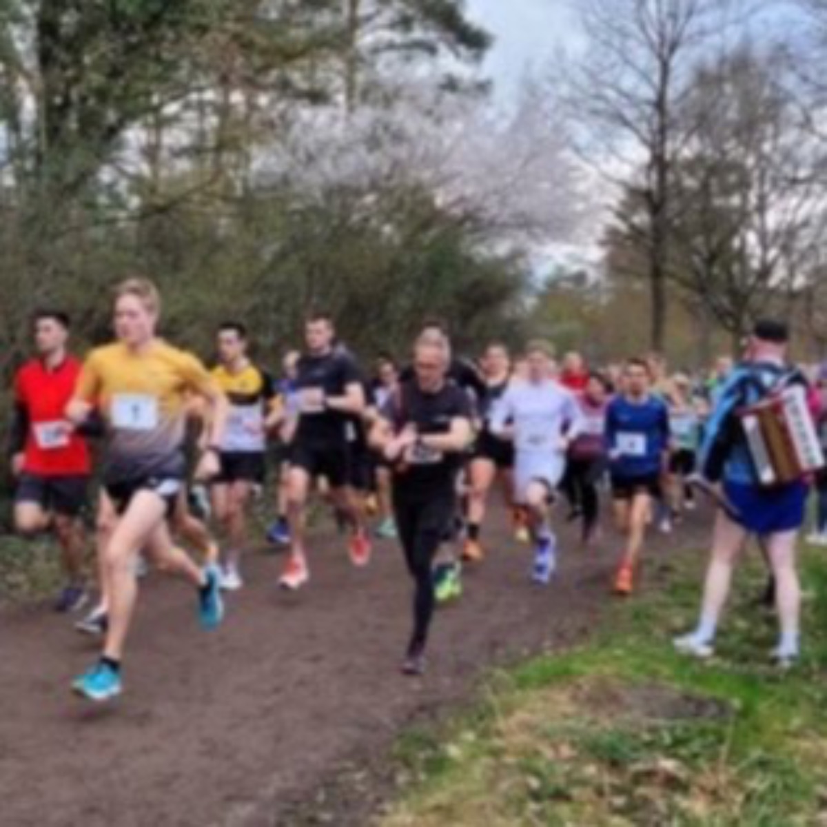 Winterwaldlauf 2024